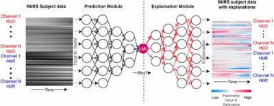 Explainable artificial intelligence model to predict brain states from fNIRS signals